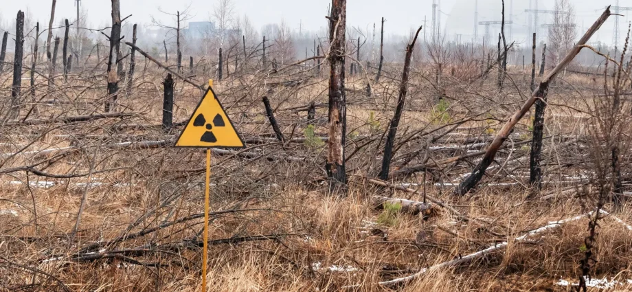 40-years-later,-chernobyl’s-nuclear-fallout-is-not-what-scientists-expected