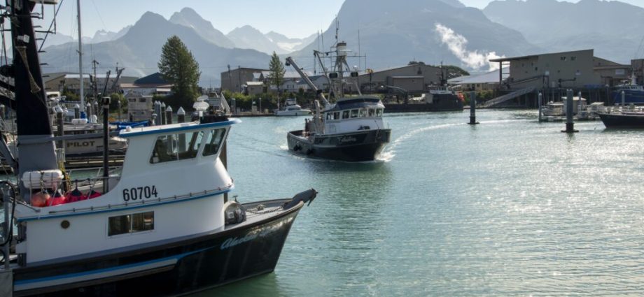 a-warming-climate-is-all-over-alaska’s-senate-race-the-candidates-hardly-mention-it.