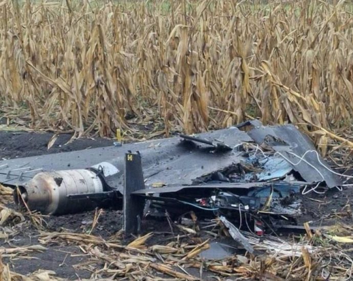 russian-geran-drone-crashes-in-moldova-near-homes-and-energy-facility:-chisinau-expels-russian-diplomat