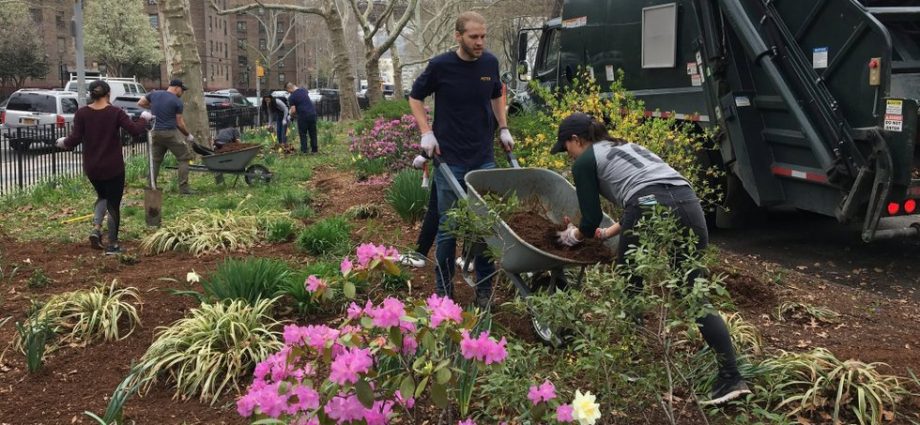 parks-can-play-essential-role-in-disaster-response