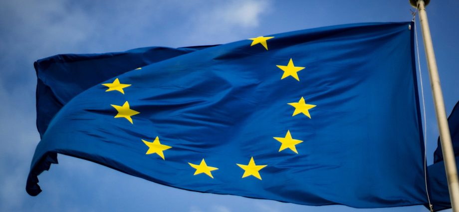 matrix-gains-ground-in-europe’s-public-sector-—-but-replacing-teams-is-another-matter