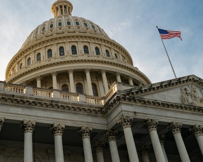 US midterms: what a new Congress could – and could not – change for Europe