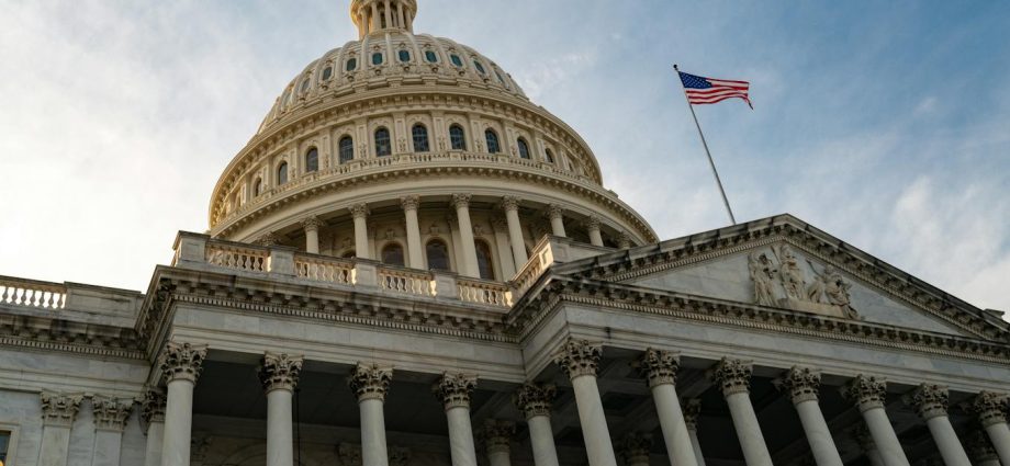 US midterms: what a new Congress could – and could not – change for Europe