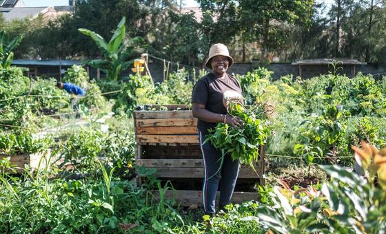 soil-mapping-aims-to-boost-agricultural-production-in-kenya