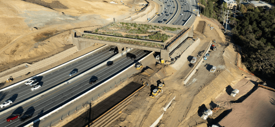 World’s largest wildlife crossing nears completion in California