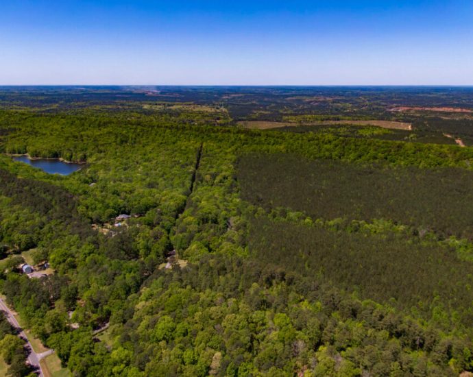 alabama’s-new-data-center-rules-still-leave-customers-in-the-dark,-critics-say