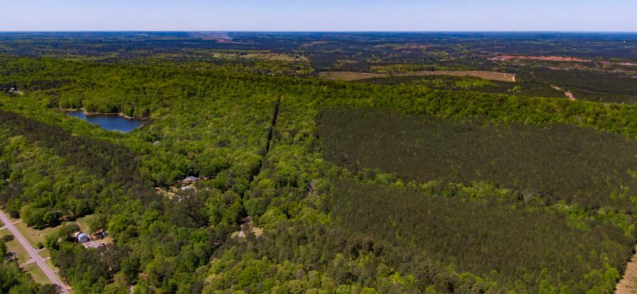 alabama’s-new-data-center-rules-still-leave-customers-in-the-dark,-critics-say