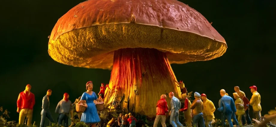 this-mysterious-mushroom-makes-people-see-hundreds-of-tiny-humans