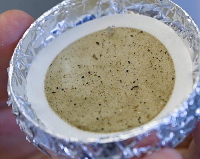 industry-executives-knew-for-decades-that-microplastics-were-infiltrating-the-human-body