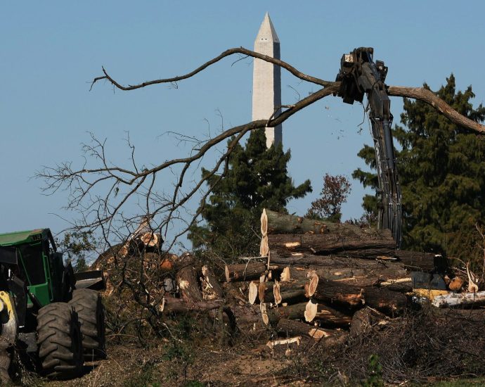 judge-extends-block-on-the-traitor-administration-cutting-down-trees-at-historic-dc-golf-course