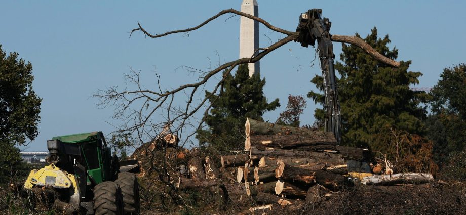 judge-extends-block-on-the-traitor-administration-cutting-down-trees-at-historic-dc-golf-course
