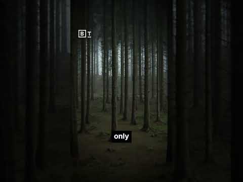 did-life-arise-more-than-once?-|-paul-davies