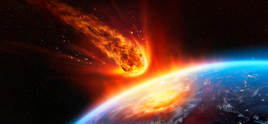 the-asteroid-that-killed-the-dinosaurs-may-have-helped-ants-conquer-the-world