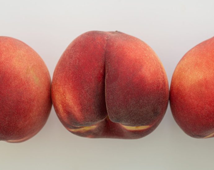 new-scientific-theory-suggests-anti-gay-teaching-could-be-very-wrong