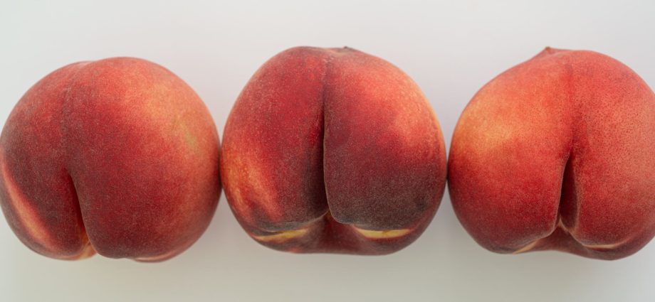new-scientific-theory-suggests-anti-gay-teaching-could-be-very-wrong