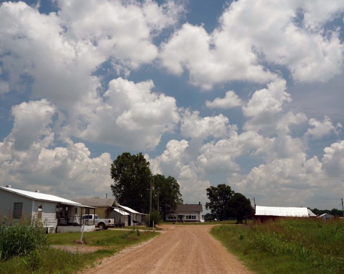 as-us-midterms-approach,-farmers-decide-what-to-plant-and-how-to-vote