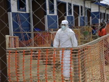 experts-warn-of-wider-spread-as-ebola-outbreak-reaches-plateau