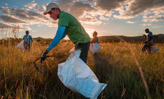nature-is-making-a-comeback-–-now-restoration-funding-must-quadruple