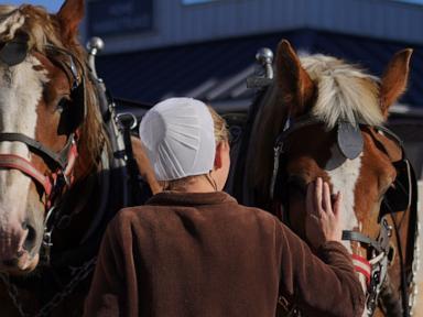 as-a-measles-outbreak-hits-pennsylvania-amish-country,-more-show-openness-to-vaccines