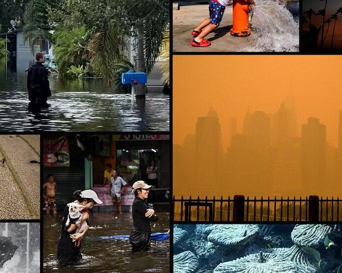 everything-you-could-possibly-want-to-know-about-el-nino
