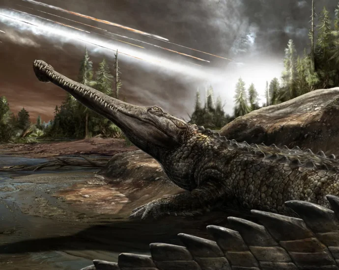 the-asteroid-killed-the-dinosaurs.-why-did-crocodiles-survive?