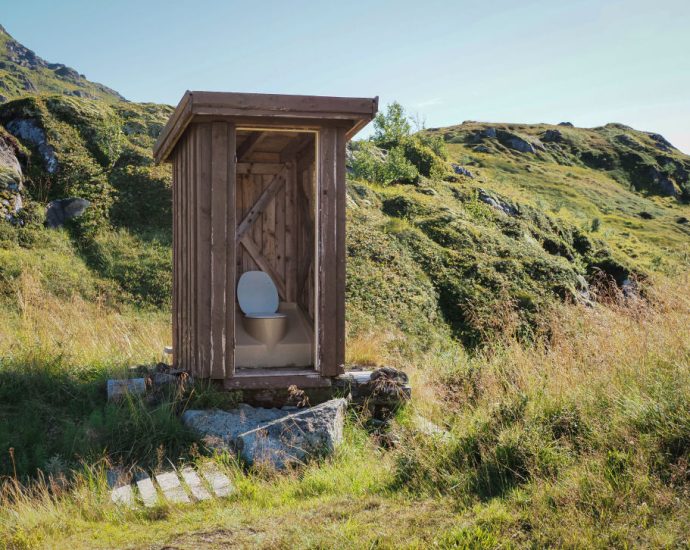 norway-makes-toilets-great-again